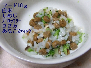 2008_0331 はる0034.jpg