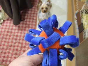 2008_0331 はる0043.jpg