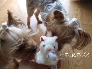 2008_0402 はる0032.jpg
