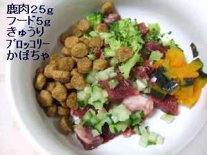 2008_0403 はる0032.jpg