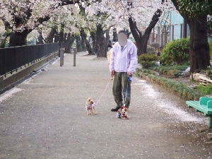 2008_0407 はる0061.jpg