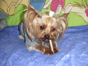 2008_0512 はる0039.jpg