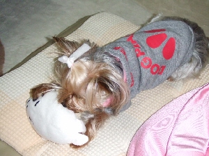 2008_0513 はる0033.jpg