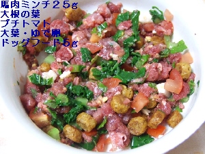 2008_0516 はる0044.jpg