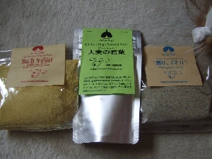 2008_0522 はる0049.jpg