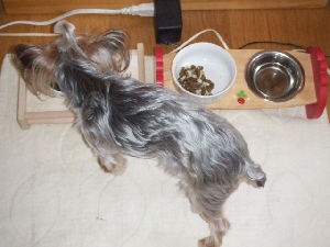 2008_0526 はる0039.jpg