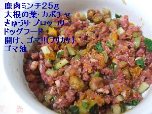 2008_0608 はる0041.jpg