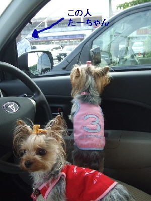 2008_0612 はる0047.jpg