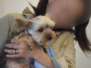 2008_0618 はる0042.jpg