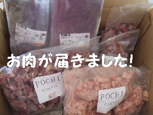 2008_0704 はる0027.jpg
