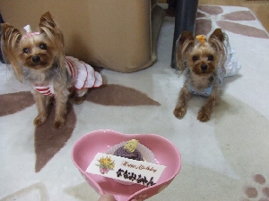 2008_0707 はる0075.jpg
