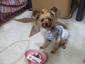 2008_0707 はる0080.jpg