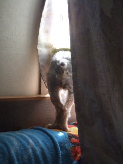 2008_0726 はる0053.jpg