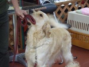 2008_0803 はる0076.jpg