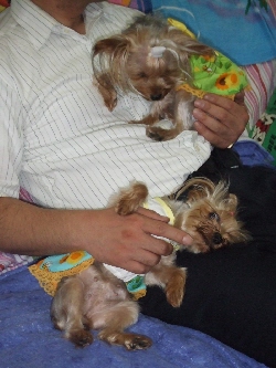 2008_0807 はる0040.jpg