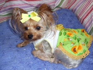 2008_0807 はる0056.jpg