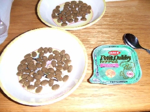 2008_0823 はる0074.jpg