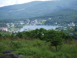 2008_0823 はる0095.jpg