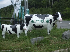 2008_0823 はる0121.jpg