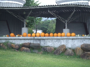 2008_0823 はる0131.jpg