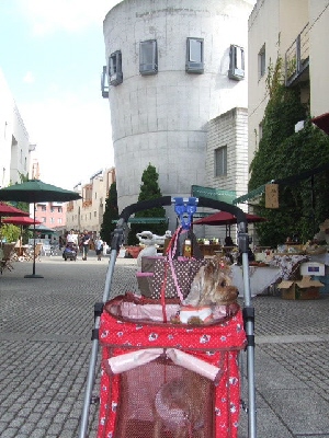 2008_0823 はる0164.jpg
