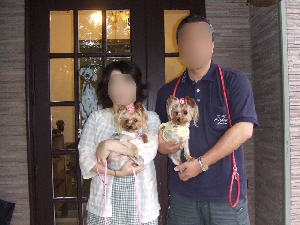 2008_0823 はる0193.jpg