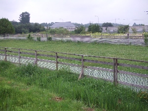2008_0823 はる0242.jpg