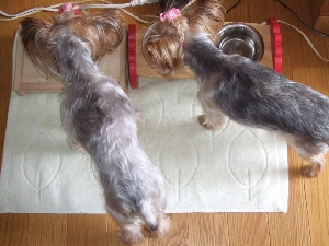 2008_0831 はる0041.jpg