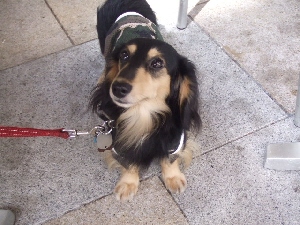2008_0902 はる0043.jpg