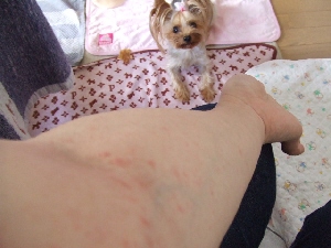 2008_0921 はる0042.jpg
