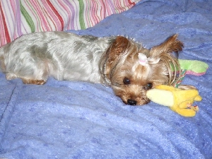 2008_0924 はる0045.jpg