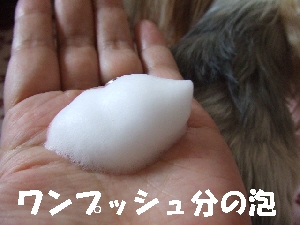 2008_0925 はる0040.jpg