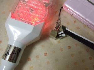 2008_0927 はる0047.jpg