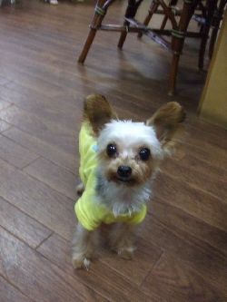 2008_1001 はる0007.jpg