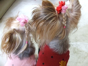 2008_1010 はる0051.jpg