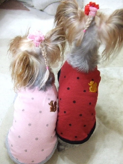 2008_1010 はる0052.jpg