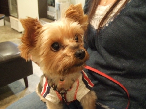 2008_1018 はる0056.jpg