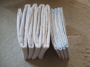 2008_1030 はる0007.jpg