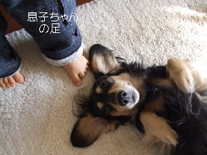 2008_1118 はる0014.jpg