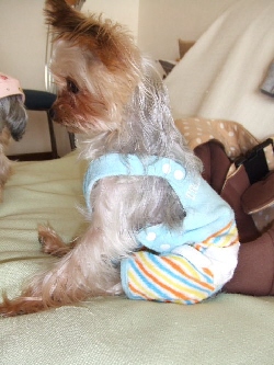 2008_1118 はる0028.jpg