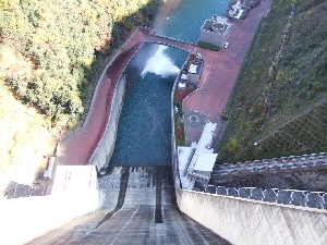 2008_1119 はる0046.jpg