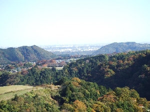 2008_1119 はる0047.jpg