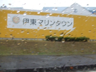 2008_1125 はる0022.jpg