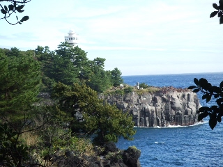 2008_1125 はる0072.jpg