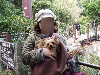 2008_1125 はる0082.jpg