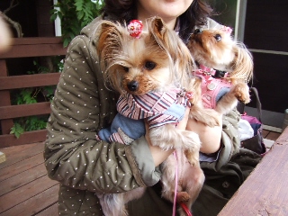 2008_1125 はる0087.jpg