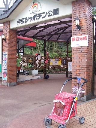 2008_1125 はる0128.jpg