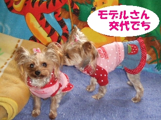 2008_1209 はる0014.jpg