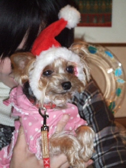 2008_1212 はる0023.jpg
