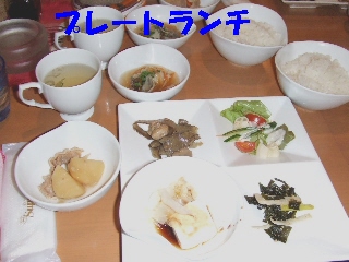2008_1212 はる0034.jpg
